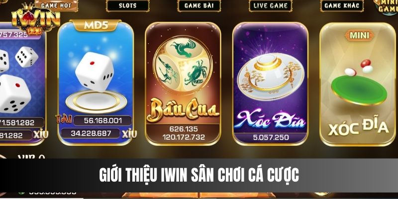 Giới Thiệu IWIN Sân Chơi Cá Cược